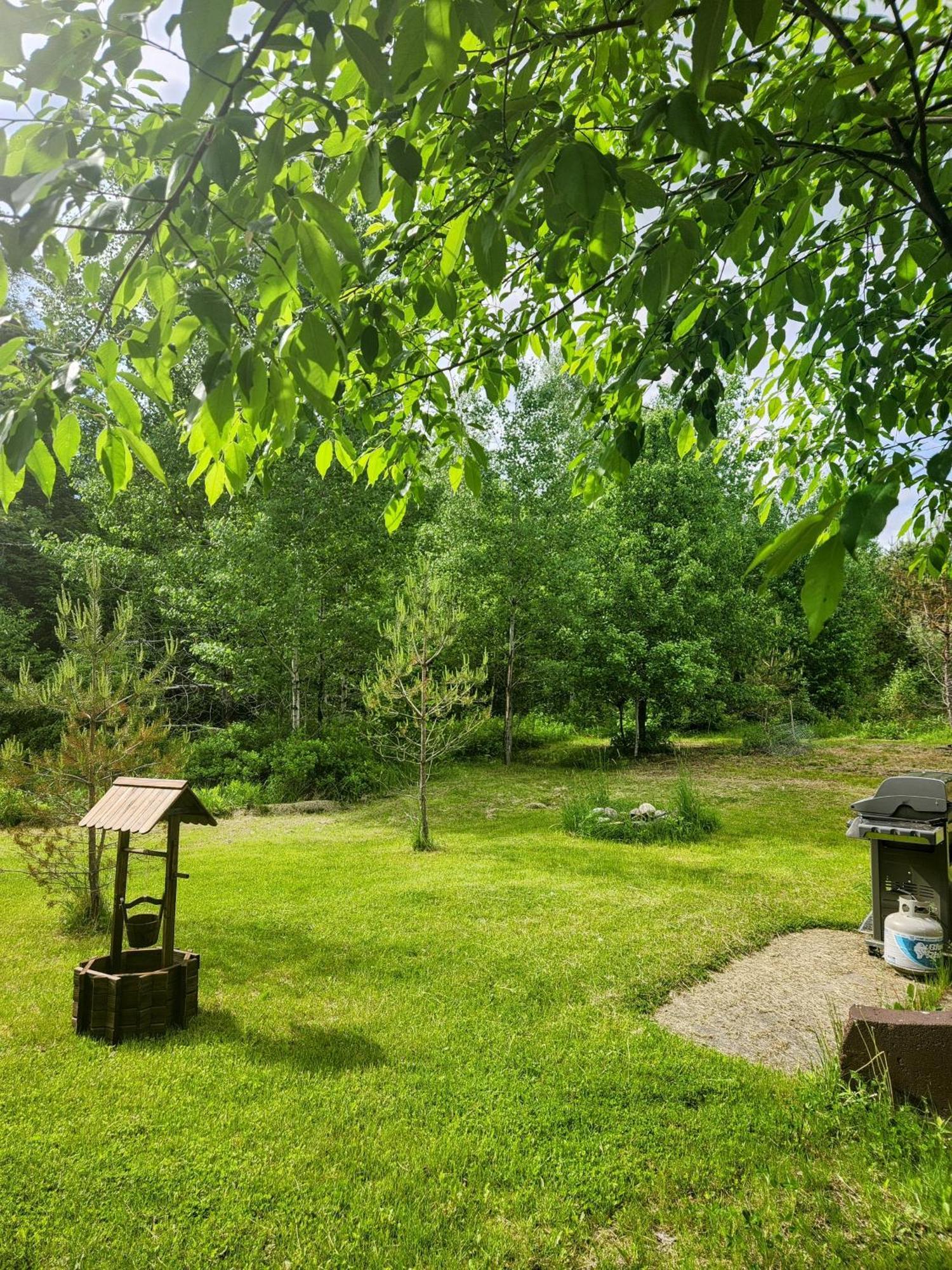 Backyard Bliss In The White Mountains Villa Lincoln Ngoại thất bức ảnh